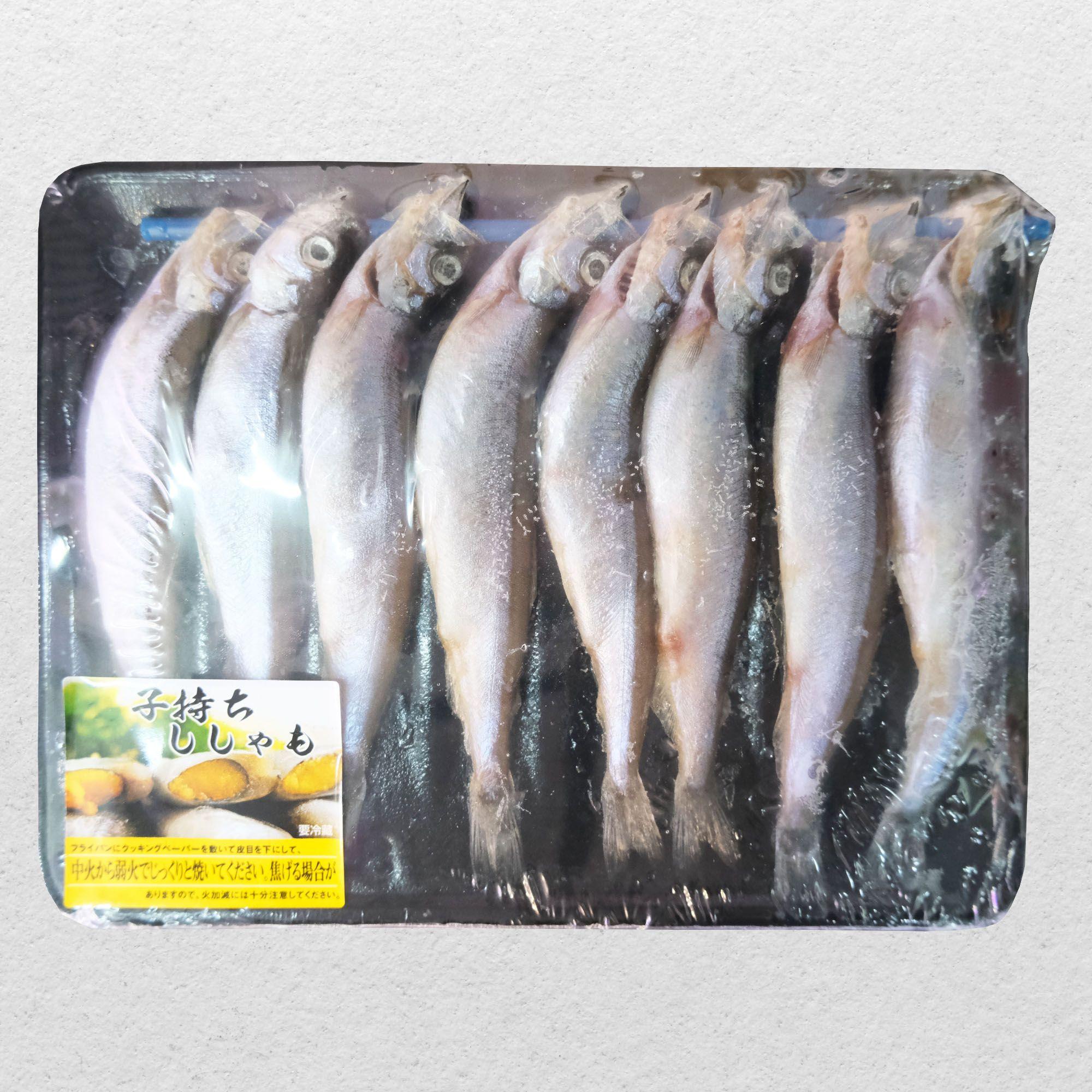 多春魚